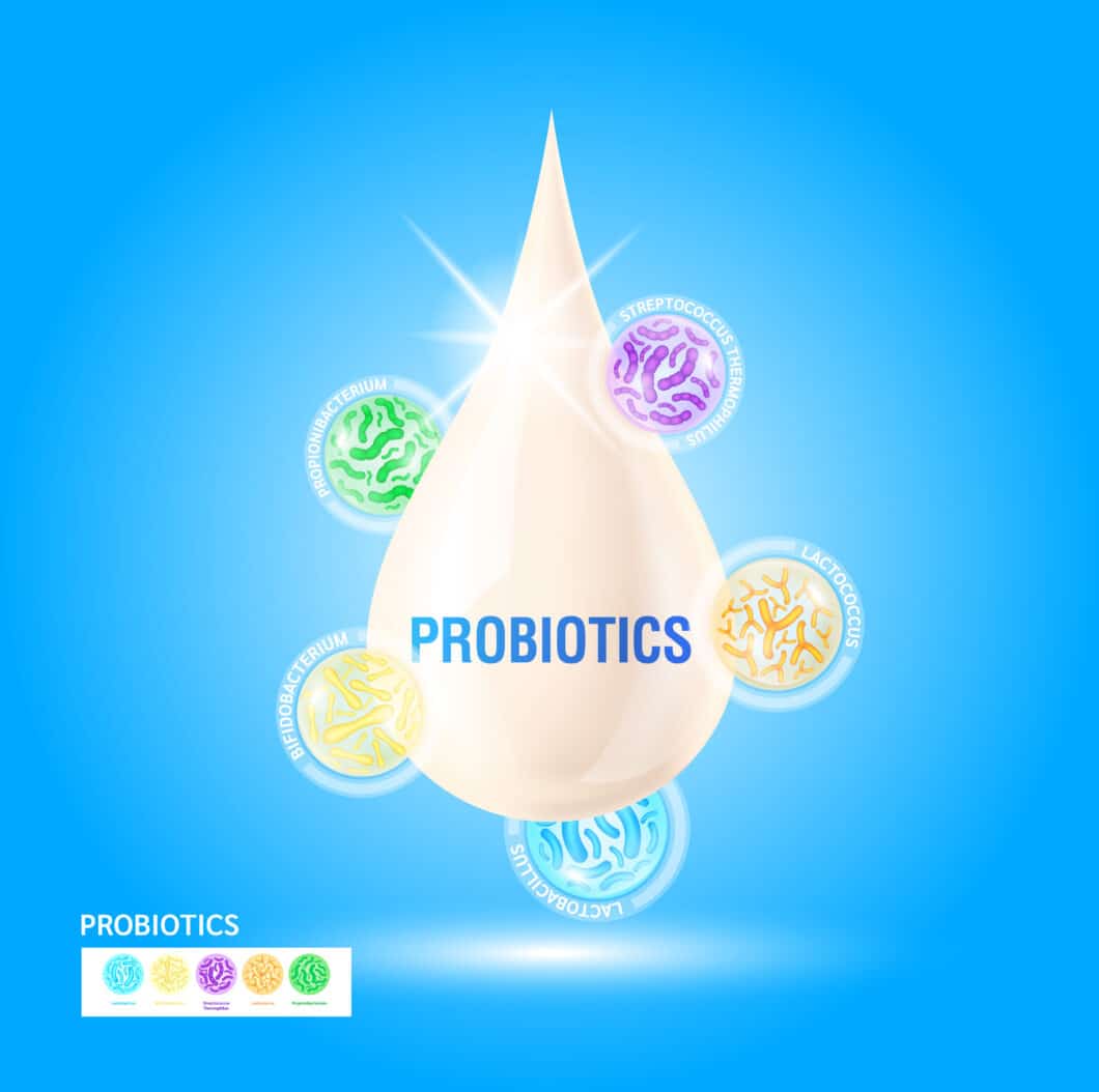 Sind Probiotika gut für das Mikrobiom?