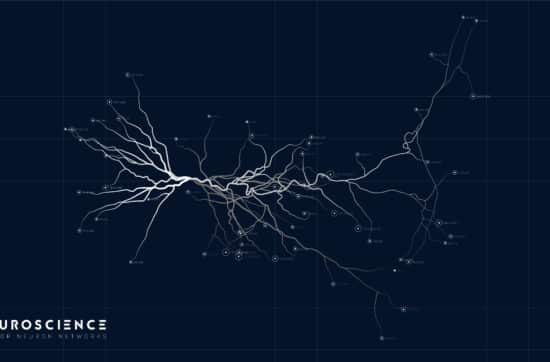 Was ist eine Small Fiber Polyneuropathie