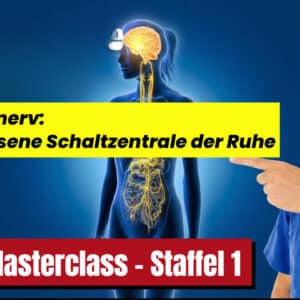 Vagus-Masterclass - Teil 1 - Der Vagusnerv – die vergessene Schaltzentrale der Ruhe