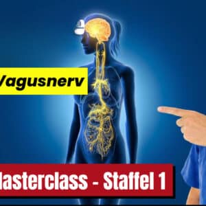 Vagus-Masterclass - Teil 6 - Darm & Vagusnerv: Warum Ihre Verdauung mehr mit Stress als mit Ernährung zu tun hat