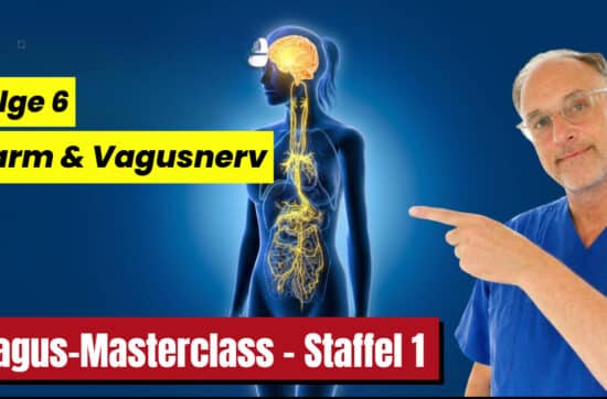 Vagus-Masterclass - Teil 6 - Darm & Vagusnerv: Warum Ihre Verdauung mehr mit Stress als mit Ernährung zu tun hat