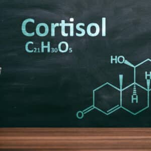 Cortisol zu hoch? Als Neurologe zeige ich dir, wie du dein Nervensystem in 5 Minuten beruhigst