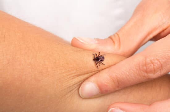 Borreliose-Symptome, die Ärzte oft übersehen