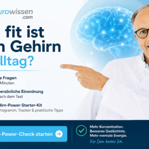 Wie fit ist Dein Gehirn? 7 Faktoren, die Deine geistige Fitness im Alltag beeinflussen
